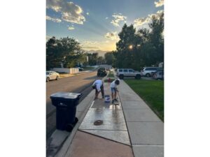 Professional concrete contractor park strip
