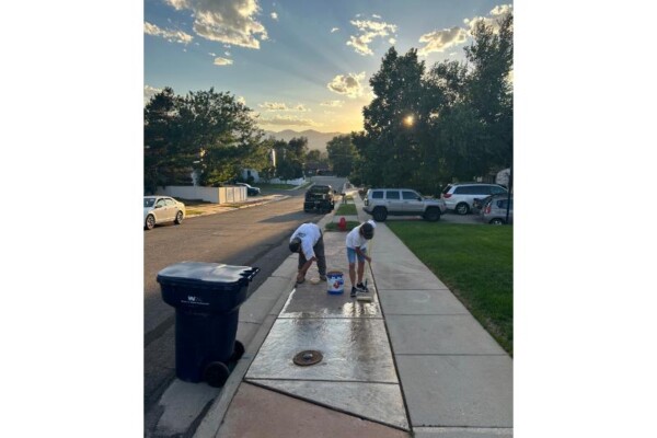 Concrete Professional concrete contractor park strip